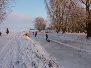 P1000991