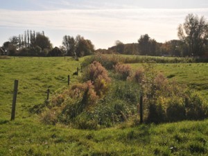 Brrak en voedsel