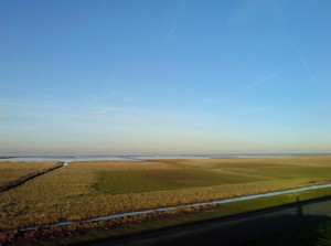 waddengezicht