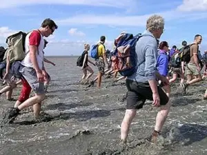 Westernieland recreatie