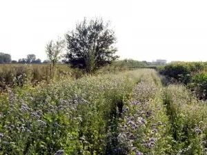 akkerranden