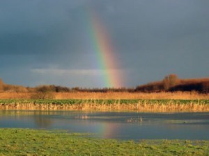 lauwersmeer